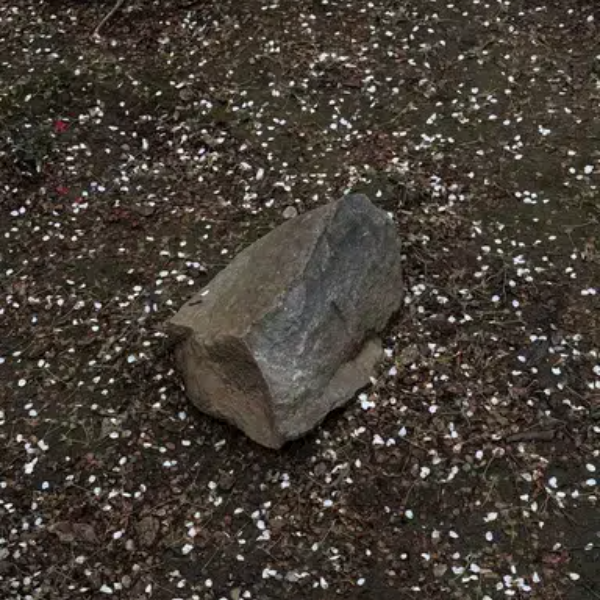 Rock