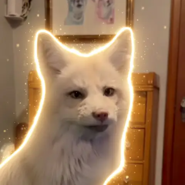 RIP Nimbus