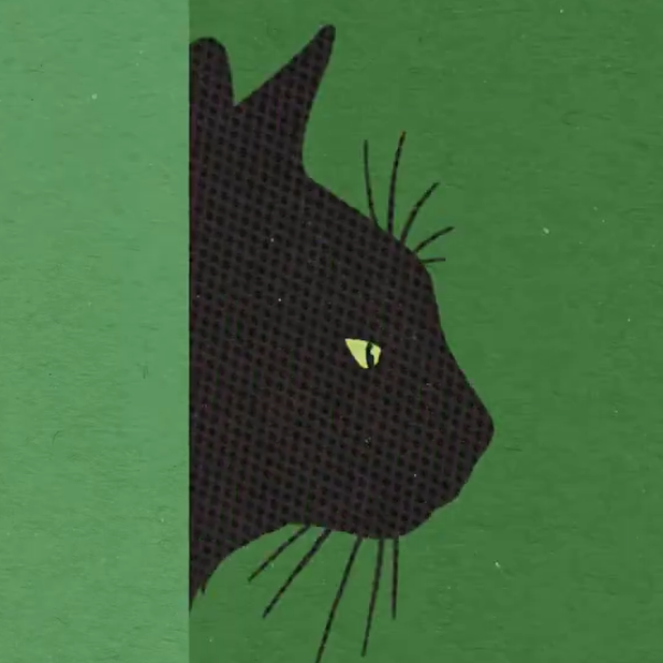 XCAT