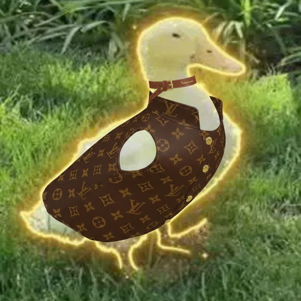 The Miracle Duck logo