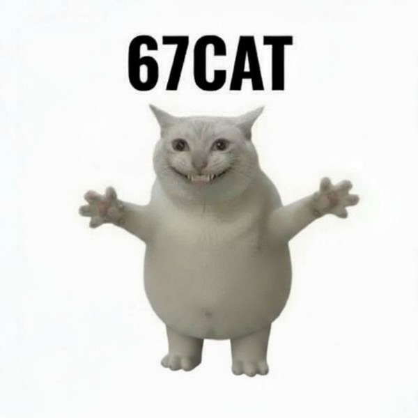 67 Cat logo