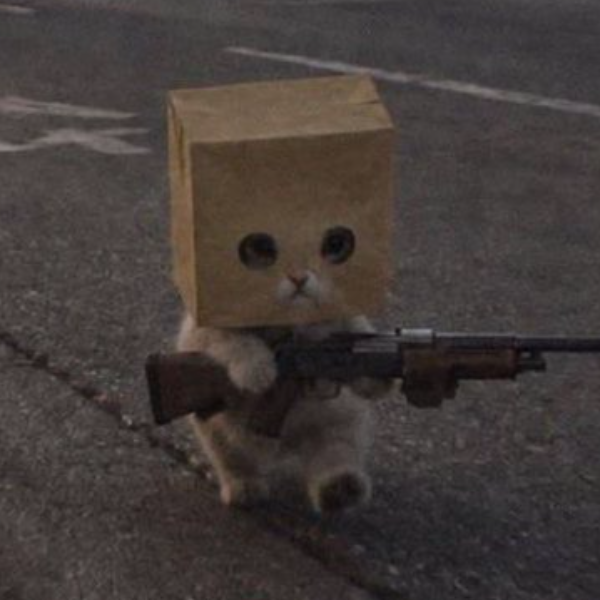 gun