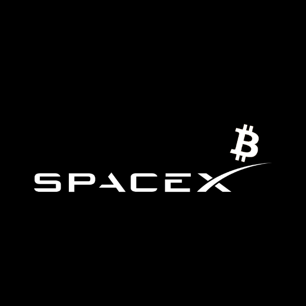 SpaceXStrategy