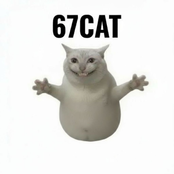 67 Cat logo