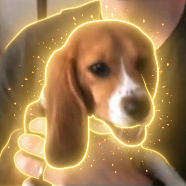 The Cloned Beagle logo