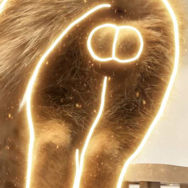 The Golden Balls logo