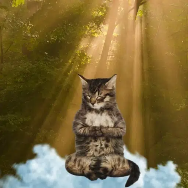 UP