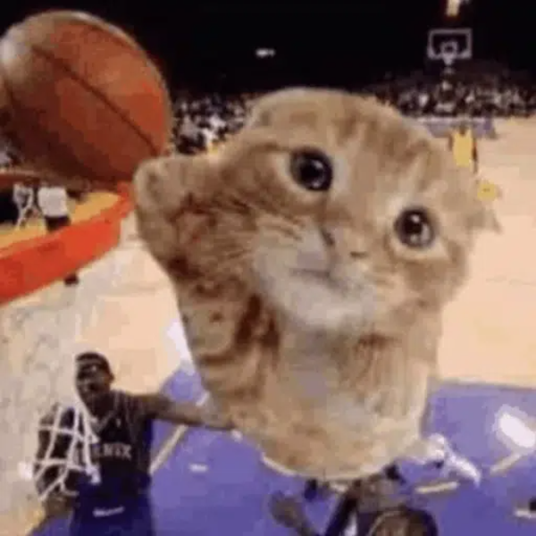 cat wif ball logo