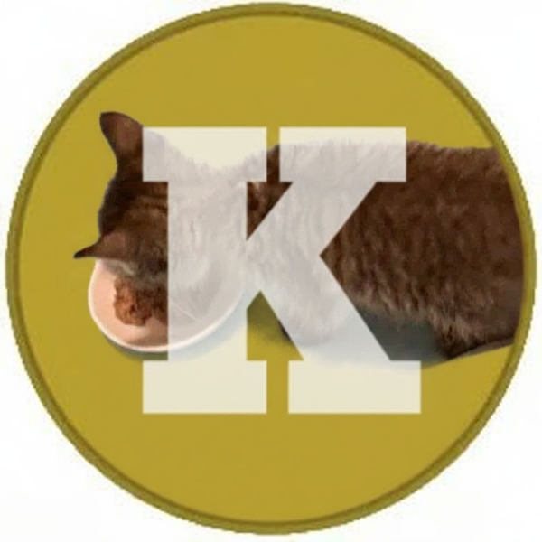 KokoCOIN logo