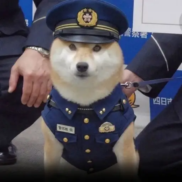 Inufficer