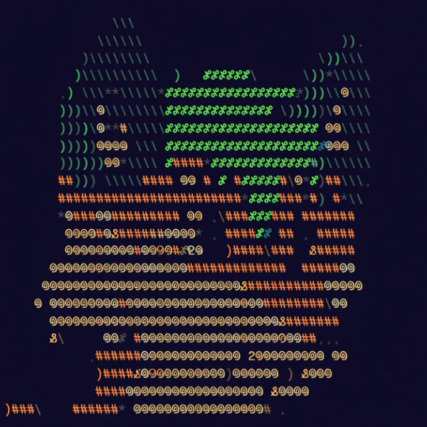 VerifiableAgentExecutionBundle