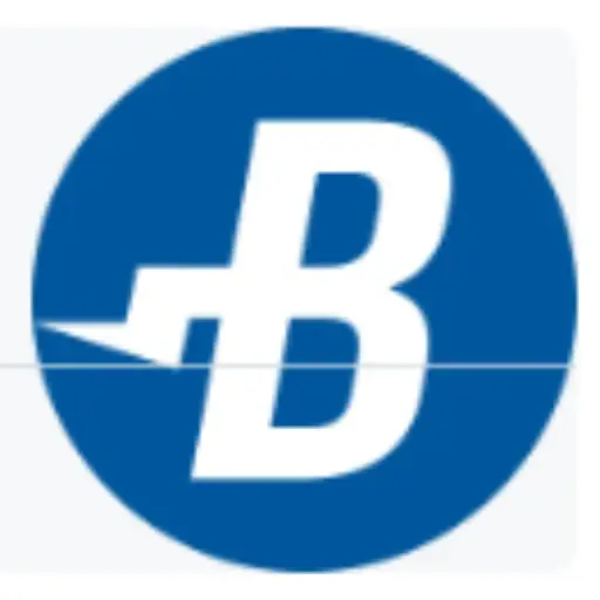 Burstcoin logo
