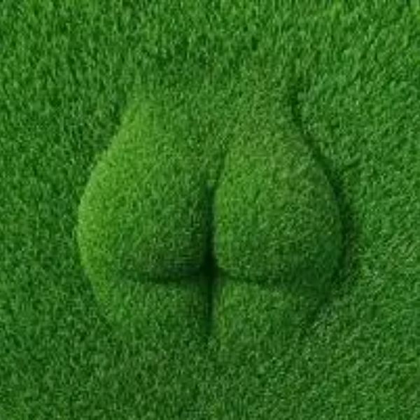 grASS logo